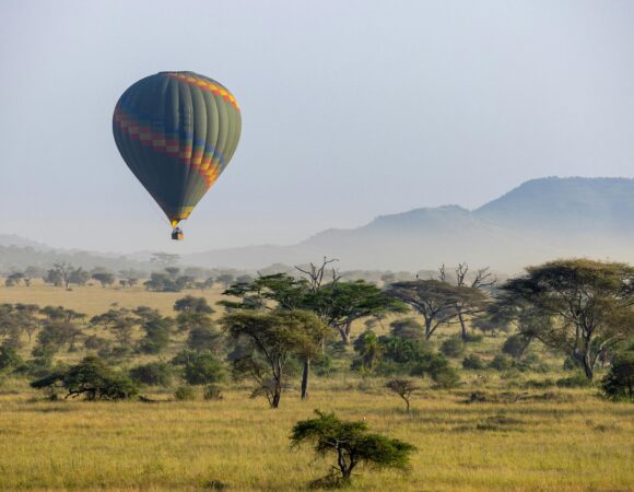 5 Days Serengeti Flying Inout Safari