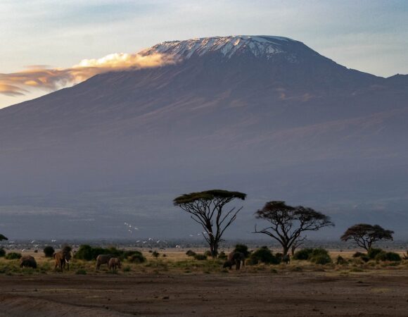 9 Days Mount Kilimanjaro Climbing Via Northern Route