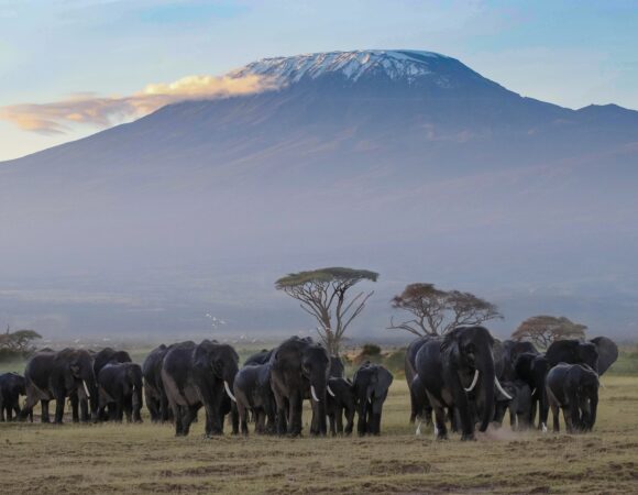 6 Days Mount Kilimanjaro Climbing Via Marangu Route