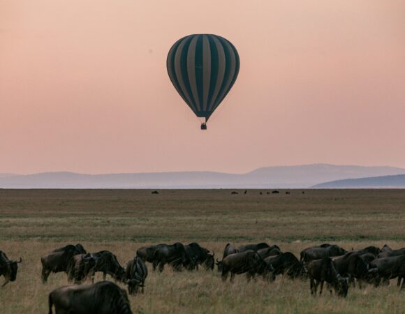 2 Days, 1 Night Masai Mara Game Reserve Safari