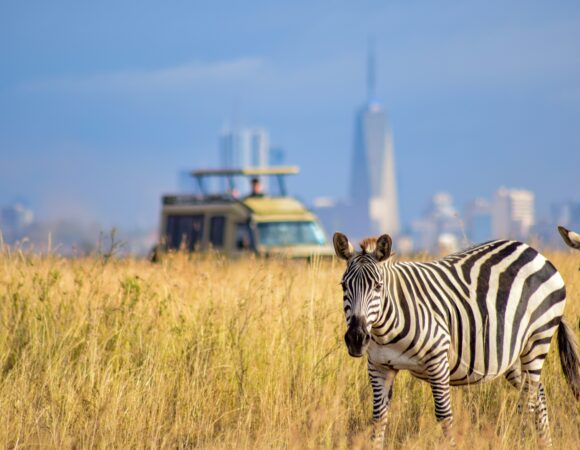 1 Day Nairobi National Park and City Tour